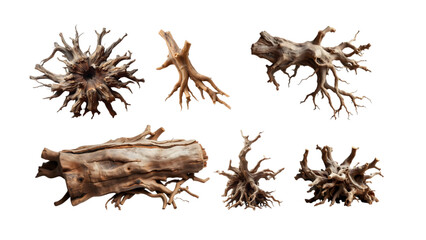 illustration of wild tree trunks and roots with high artistic value