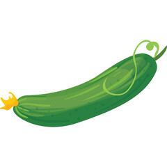 A Realistic Green Cucumber with a Yellow Flower and Vine on a Transparent Background