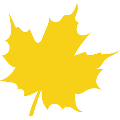 A Bright Yellow Maple Leaf Silhouette Isolated on a Transparent Background Representing Autumn Season and Nature