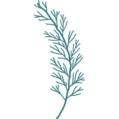 A single delicate teal sprig with fine branches against a pure white background symbolizing nature and minimalism