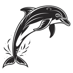 vector illustration of a dolphin