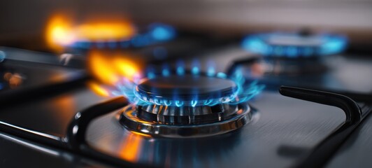 The Gas Stove Burners with Vibrant Blue Flames on a Stainless Steel Surface