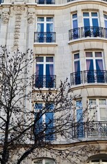 Haussmannian building facade showing ornate balconies and traditional European residential apartment architecture in a city. Antwerp, Belgium