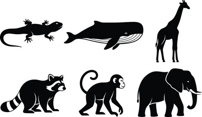 Animal silhouette set, black vector icons of lizard, whale, giraffe, raccoon, monkey, and elephant for nature and wildlife themes