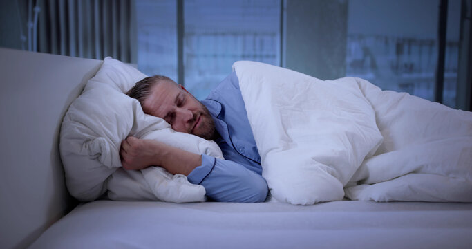 Manager Resting On White Pillow