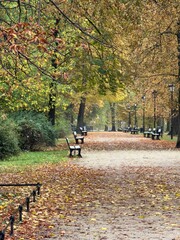 Autumn Glory in Warsaw