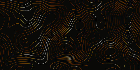 Topographic map background with geographic grid for hiking and mountain sport. luxury topographic wavy pattern and geographic grid map design. paper texture Imitation of a geographical map shade.