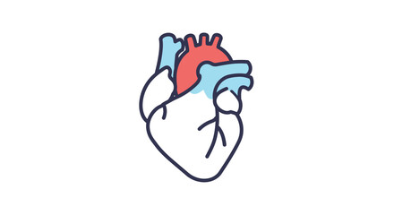 Simple illustration of a human heart with chambers and vessels depicted
