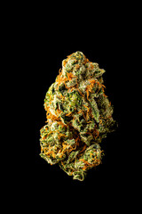 various indoor cannabis strains on different backgrounds