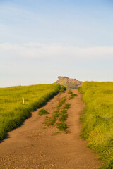 Obraz premium Dirt road leading through green fields toward distant rocky peak
