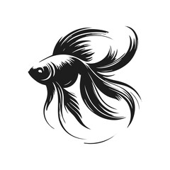 Betta Fish Elegant Vector Illustration