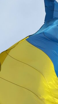 Flag of Ukraine yellow blue colors, vertical video.