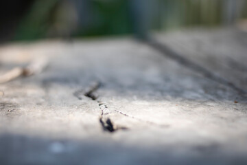 Closeup of a crack in a concrete surface with soft sunlight highlighting the texture