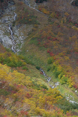 Autumn scenery of Kamikochi resort - Colorful autumn foliage-lined path along the Yari-Hotaka hiking trail (along the Yarisawa route) at its peak / 秋の上高地の風景～槍穂高登山道(槍沢ルート沿い)の紅葉見頃となったカラフルな紅葉並木道