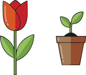 Red tulip blooming next to potted seedling on white surface symbolizing spring growth and new beginnings.