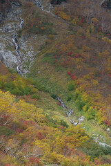 Autumn scenery of Kamikochi mountain resort - Colorful autumn leaves lined path along the Yari-Hotaka hiking trail (along the Yarisawa route) at its best / 秋の上高地の風景～紅葉見頃な槍穂高登山道(槍沢ルート沿い)のカラフルな紅葉並木道