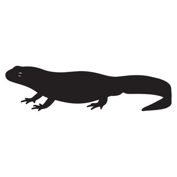 black salamander silhouette on white background clip art preview