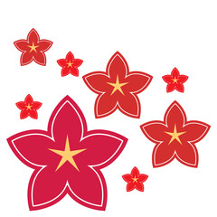 Lunar New Year Flowers
