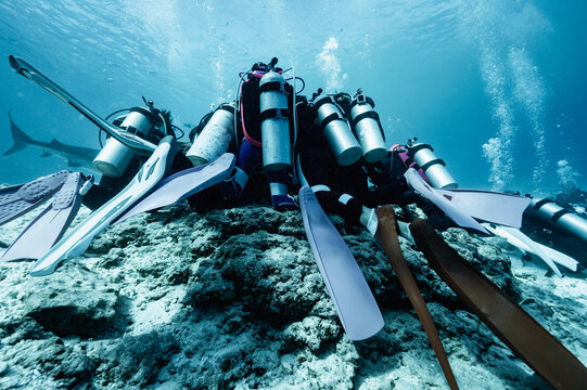 divers hovering on a rocky ledge in the Maldives