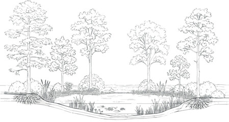 Create Architectural Drawings, Minimal style cad tree line drawing, Side view, set of section wetland forest outline for landscape design drawing. Vector illustration in seperate element