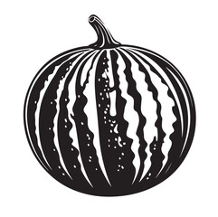 watermelon vector,