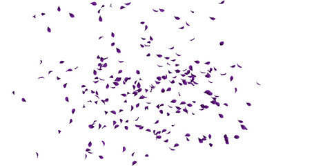 Violet flower petals sway in the wind. Isolated on alpha background. 3D rendering.