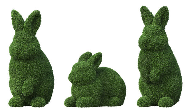 rabbit shaped topiary shrub isolated on a transparent background