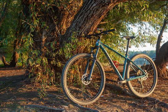 Krasnodar City, Russia - 10 October 2025: MTB Jamis Highpoint A1 parked near tree