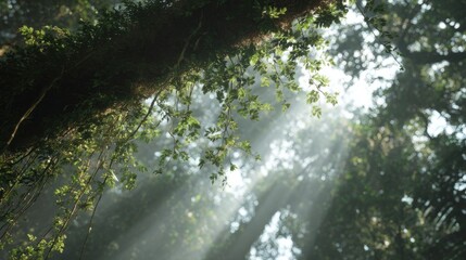Close-up of a tree branch with green leaves. the branch is covered in moss and the leaves are swaying in the wind.