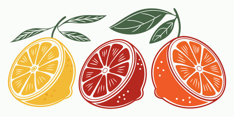 Juicy Orange Vector Set – Citrus Fruit Icons