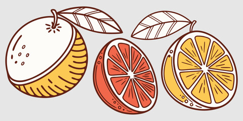 Juicy Orange Vector Set – Citrus Fruit Icons"