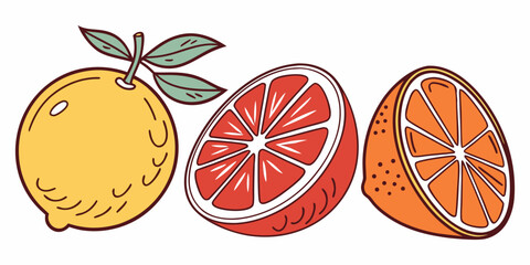 Juicy Orange Vector Set – Citrus Fruit Icons
