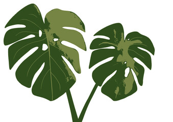 Stylish monstera leaves create a fresh, tropical vibe for your designs, adding a touch of nature and modern elegance to any project instantly