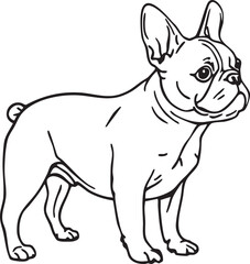 French Bulldog standing in black and white line art style with upright ears and short snout for pet and breed illustration themes