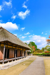 Fototapeta premium 秋 みちのく湖畔公園 紅葉とコキアと古民家 
