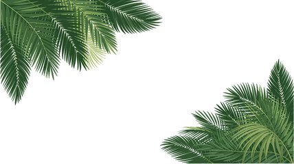 Fototapeta premium Tropical paradise awaits with lush green palm fronds, perfect for summer vibes and exotic designs, adding a touch of nature's beauty and peaceful serenity