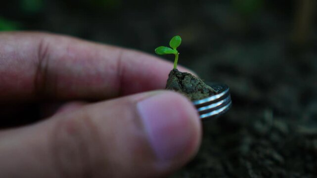 Closeup a hand holding stack of coin with young plant money invesment, financial, gowth, banking concept video