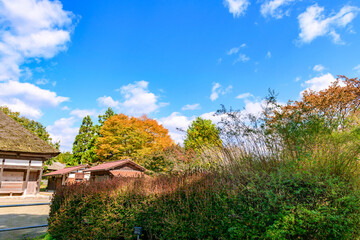 秋　みちのく湖畔公園　紅葉とコキアと古民家
