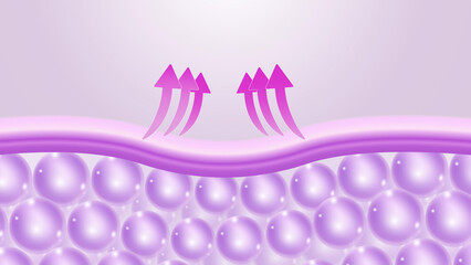 Skin Lifting and Firming Mechanism with Cellular Activation