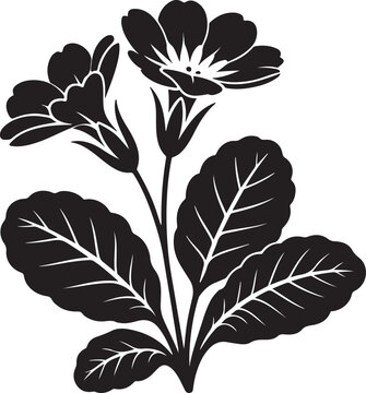 black silhouette of primrose flower on white background, vector