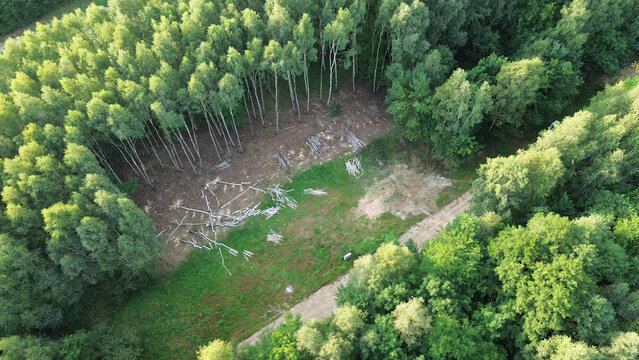 Modern housing development site amid natural greenery