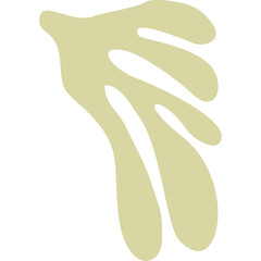 Abstract Botanical Leaf Shape in Pale Yellow Ochre on a White Background with Transparent Layer