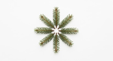 Geometric arrangement of fir tree branches on white background