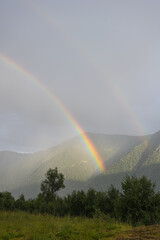 A picturesque double rainbow over the forest