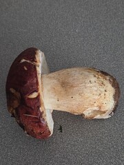 a big white mushroom on the table