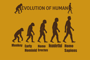 Evolution of Man from Monkey to Modern Human Vector