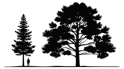 Silhouettes of two pine trees and a person showing scale