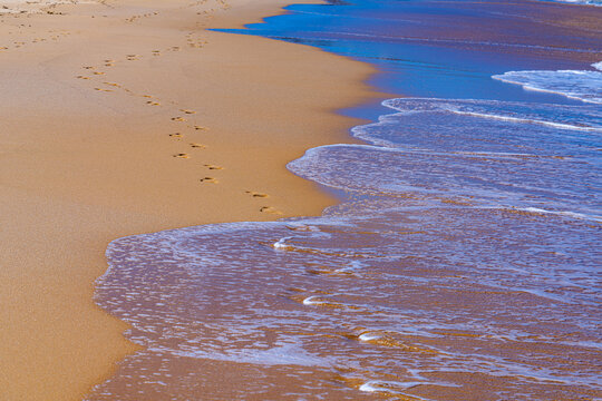 footsteps on beach