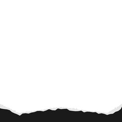 Ripped Paper Footer