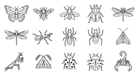 Outlined illustrations of various insects and bugs, displayed in a linear arrangement.